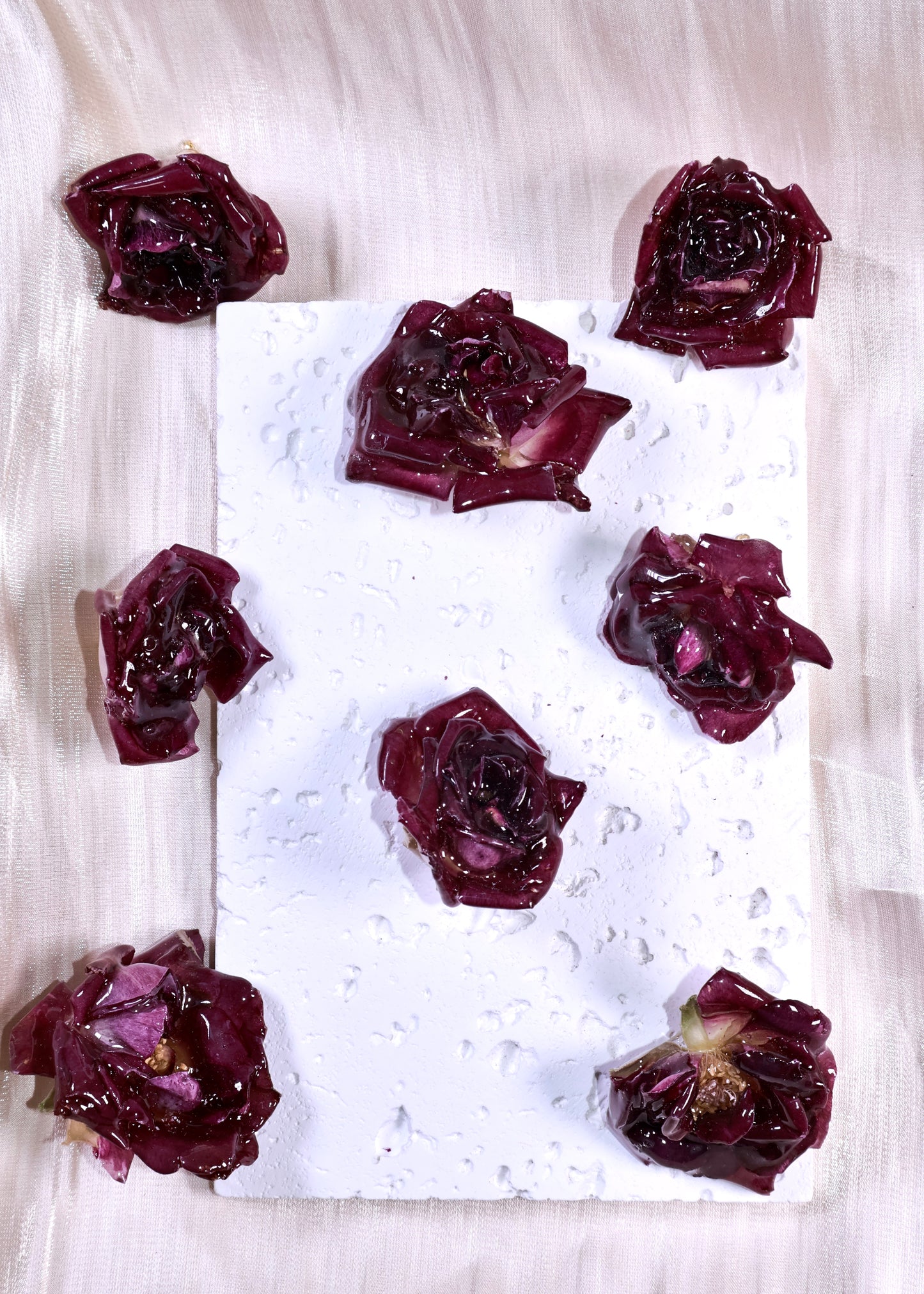Rose Éternelle Bordeaux